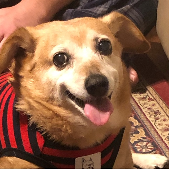 Meet your Posher, Vickie - Picture 1 of 1